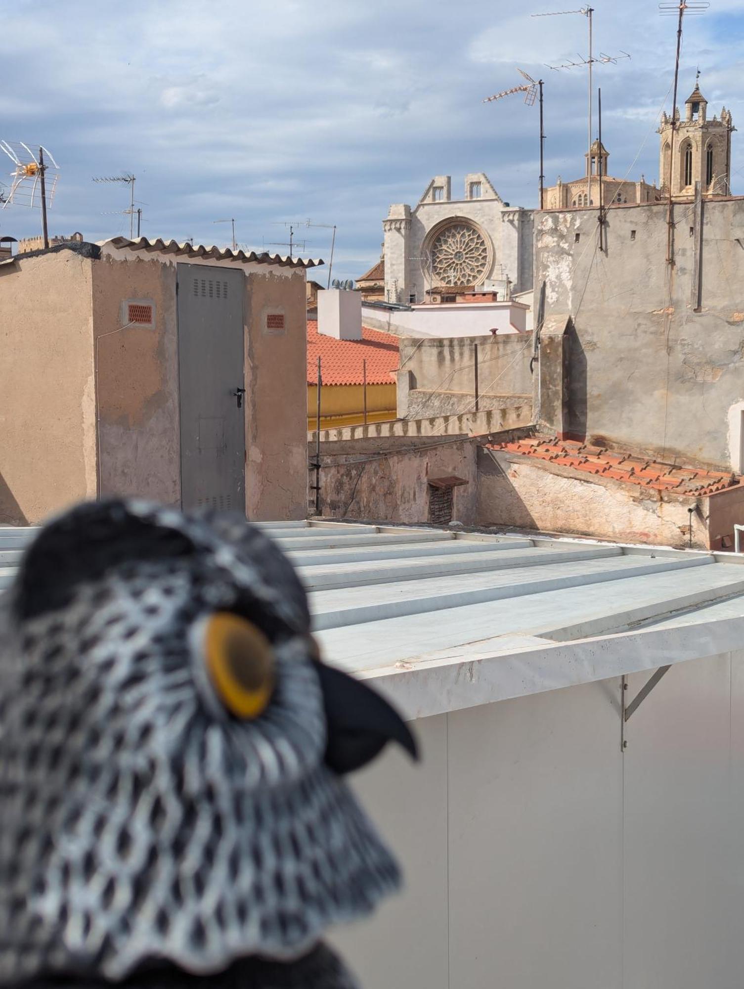 Atico Con Vistas A La Catedral *